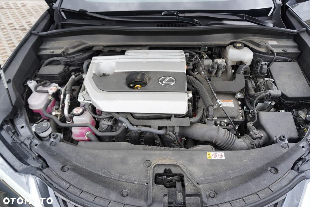 Lexus UX 250h GPF Business Edition 2WD - 19