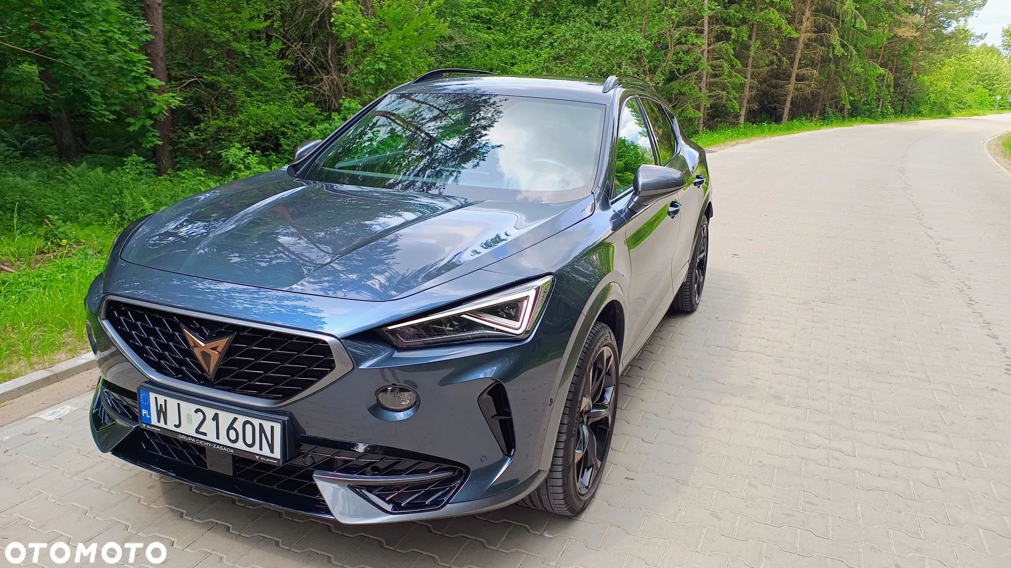 Cupra Formentor 2.0 TDI 4Drive DSG - 20