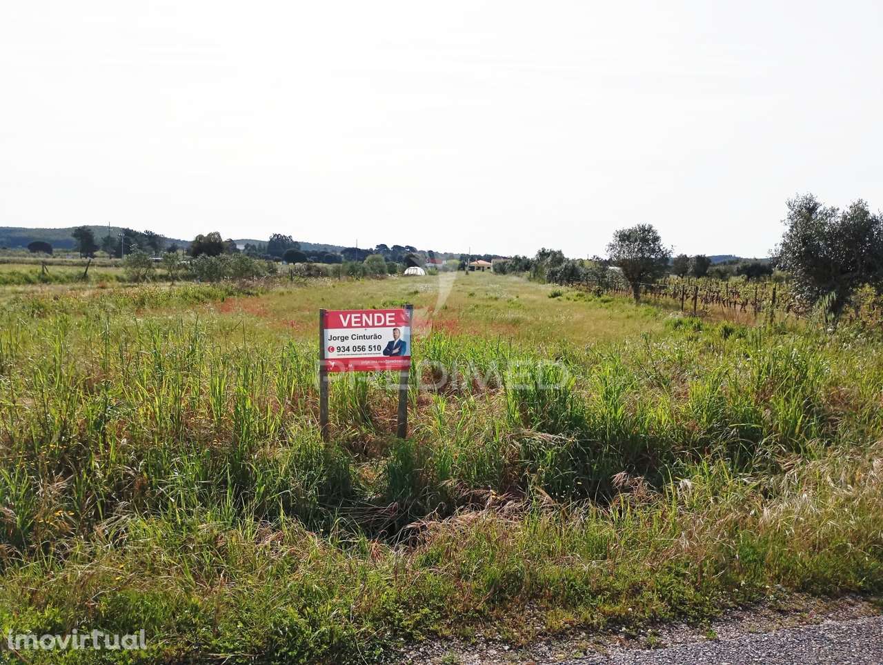 Terreno urbano com 6080 m2 com 2 frentes - Grande imagem: 4/6