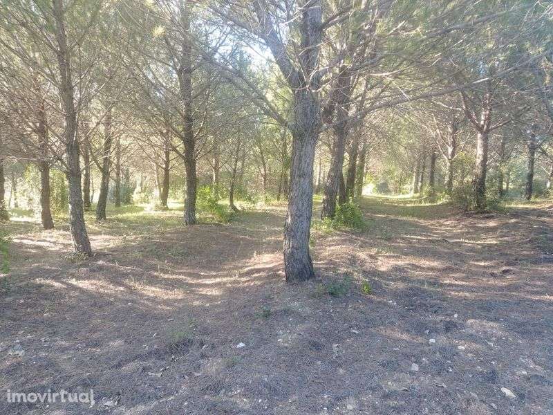 Prédio rústico com boa localização e acesso - Grande imagem: 2/3