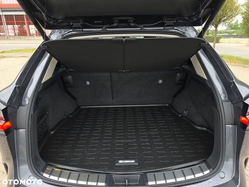 Lexus NX - 33