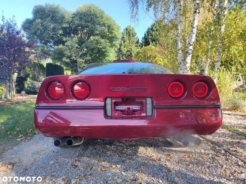 Chevrolet Corvette - 5
