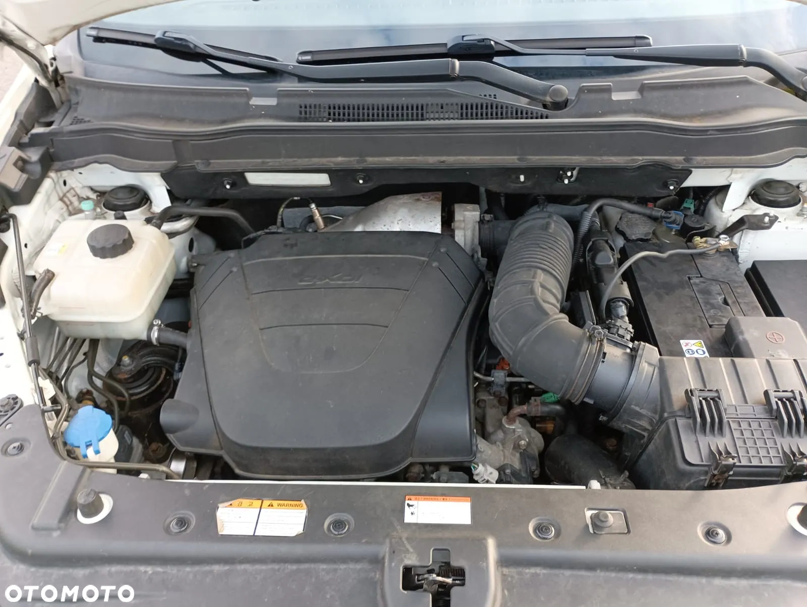 SsangYong/KGM Korando - 17