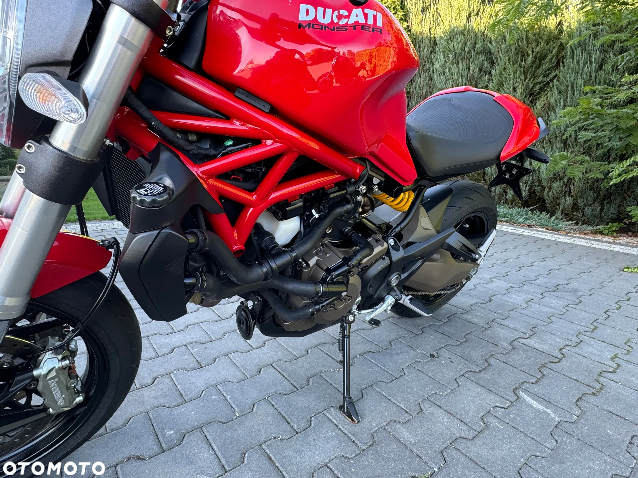 Ducati Monster - 13