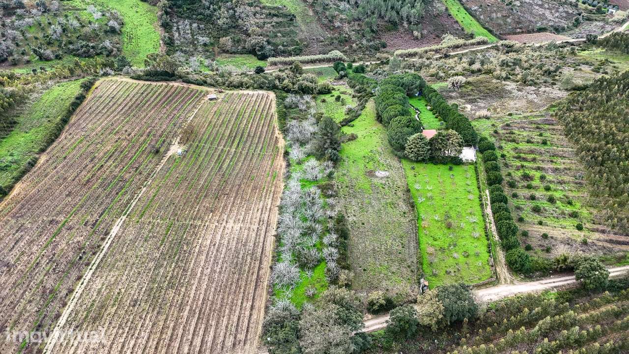 Terreno rustico na Pipa - Grande imagem: 3/12