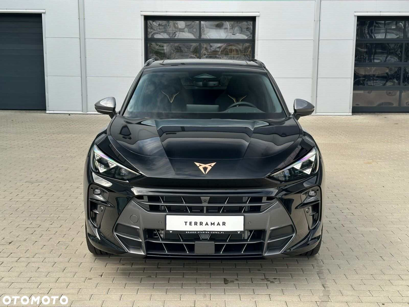 Cupra Terramar - 5