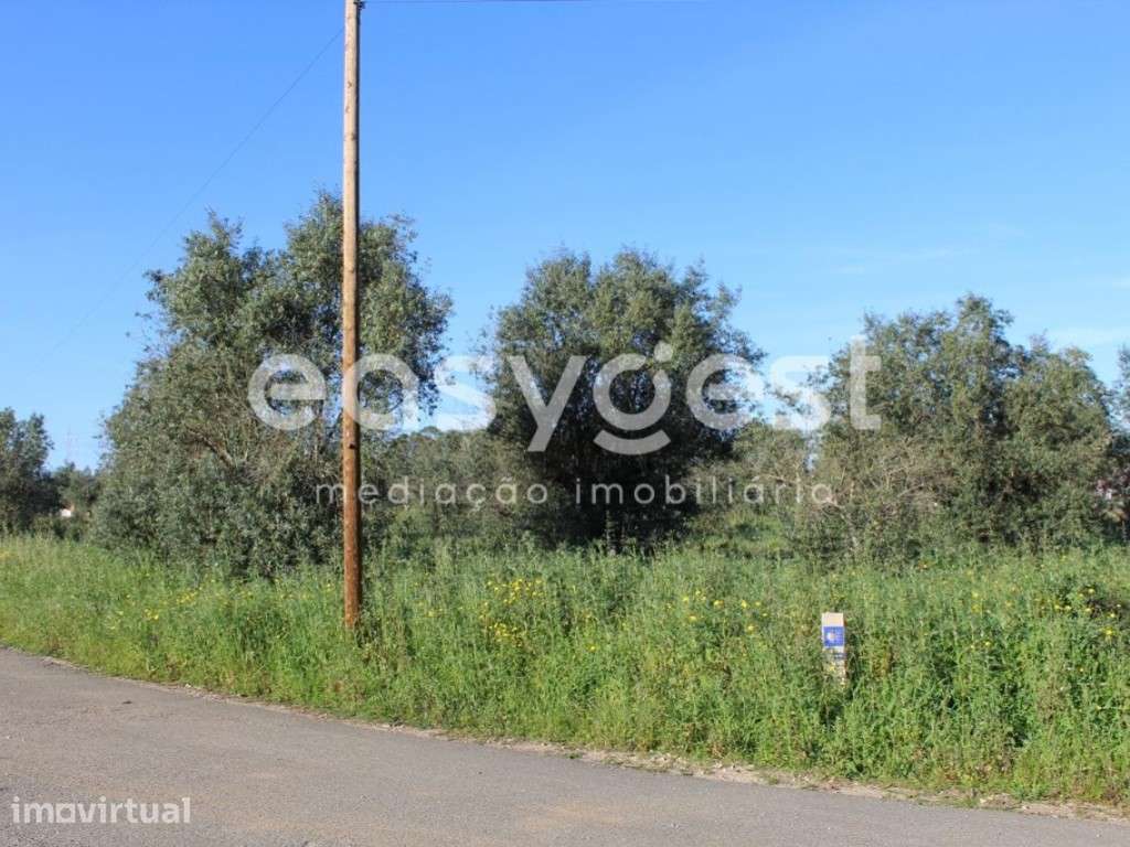 Terrenos com 10720 m2 na localidade Grou freguesia da Asseiceira - Grande imagem: 2/16
