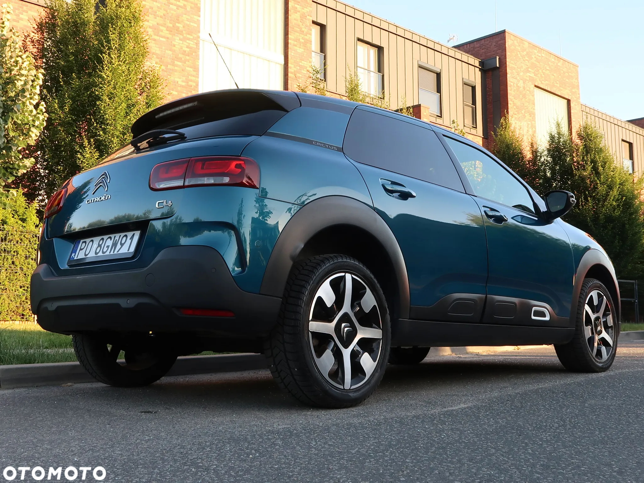 Citroën C4 Cactus 1.2 PureTech Shine S&S - 19