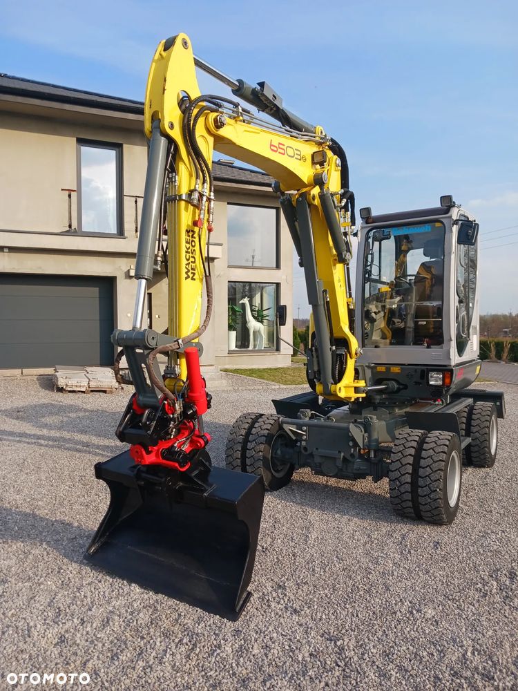 Wacker Neuson 6503 - 6