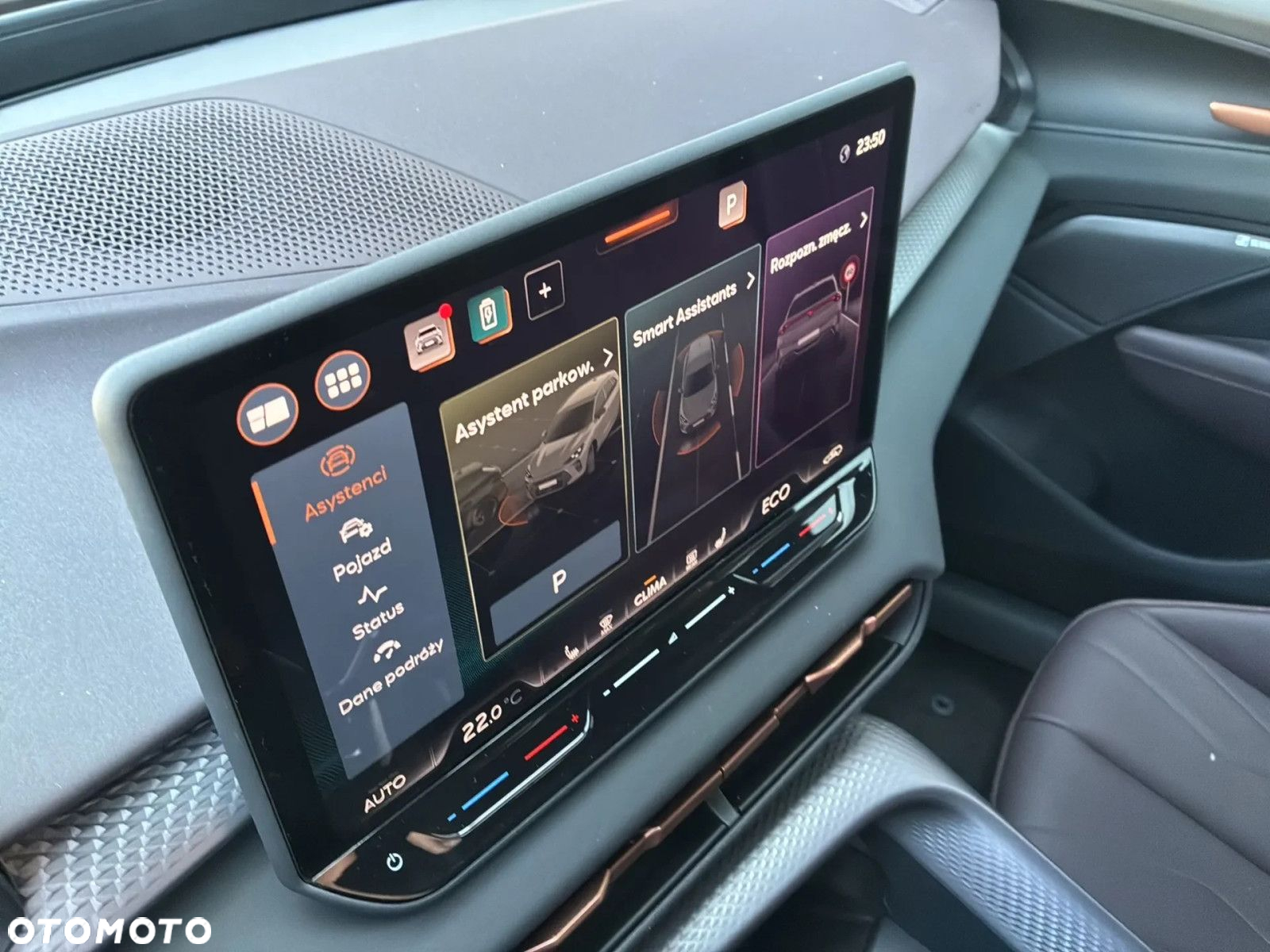 Cupra Terramar - 15