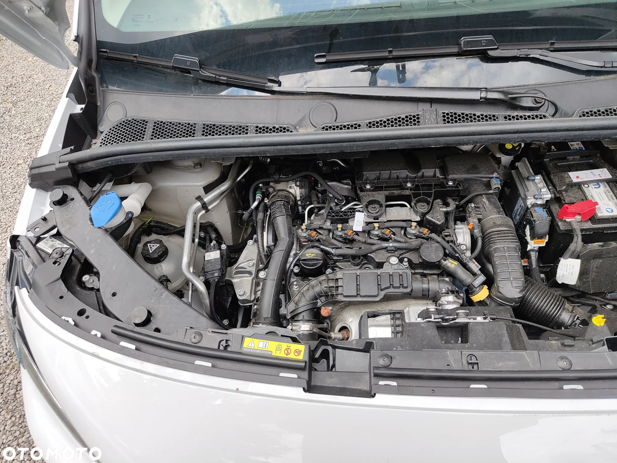 Toyota Proace City XL Maxi 2024r L2 1.5 Diesel  102PS - 25