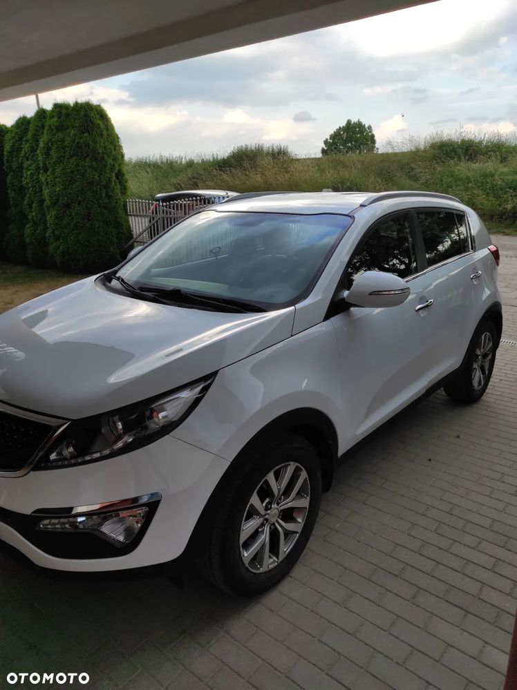 Kia Sportage 1.6 GDI Business Line L 2WD - 1