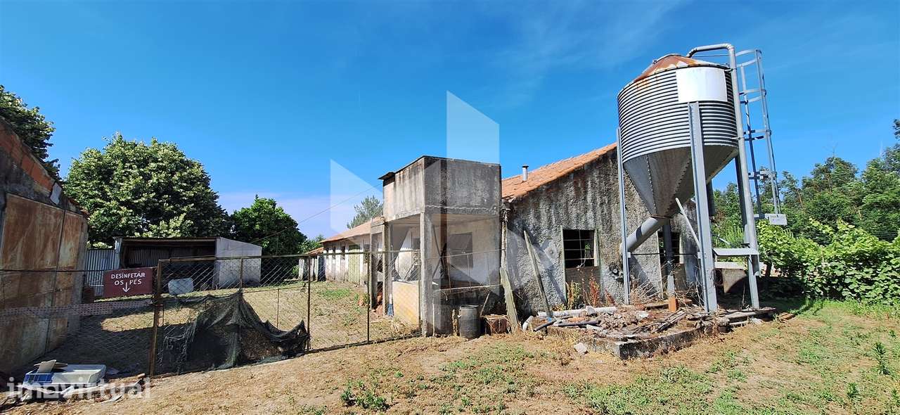 Quintinha  Venda em Lobão da Beira,Tondela - Grande imagem: 2/17