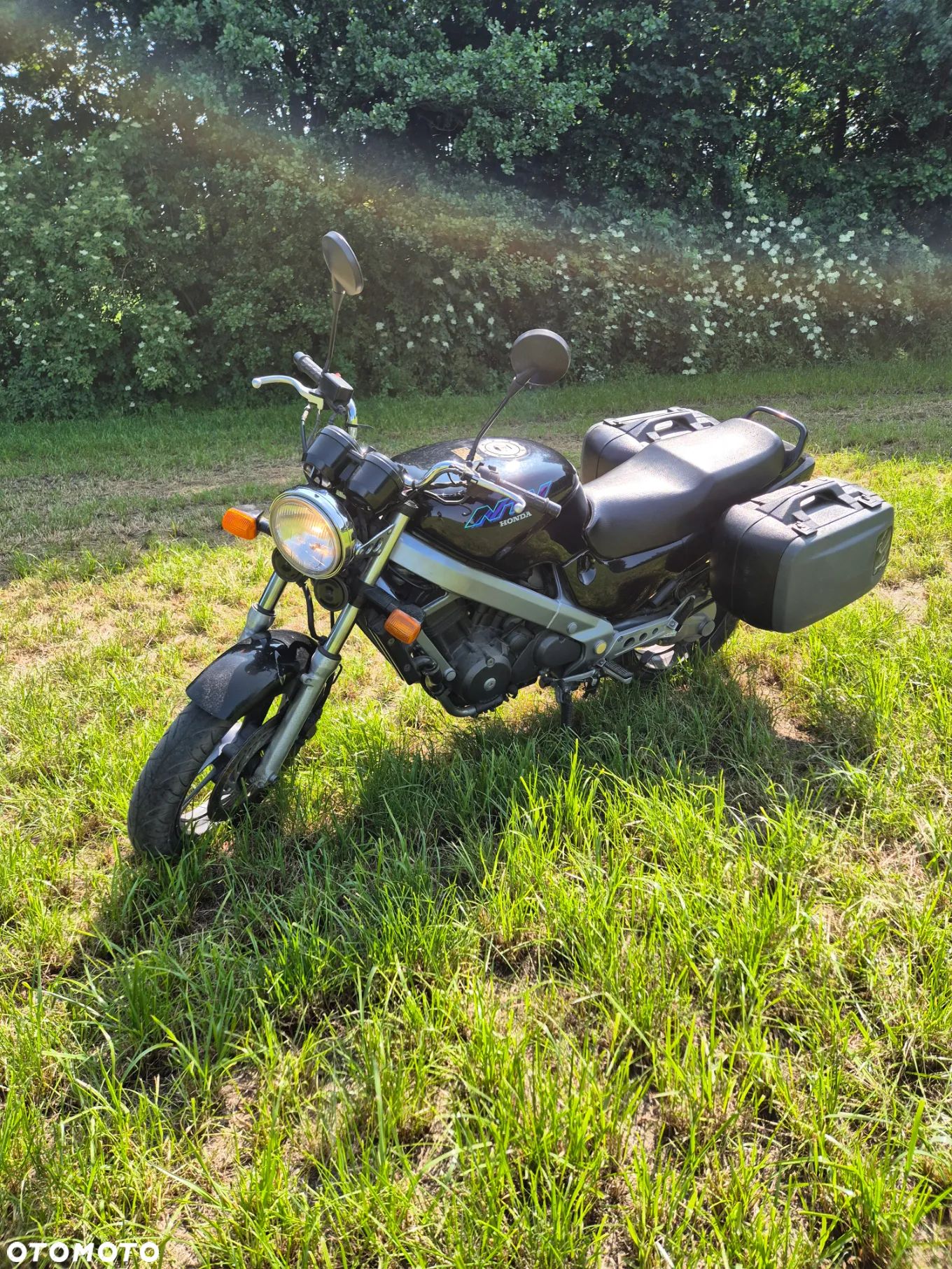 Honda NTV - 1