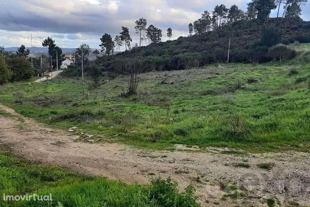 Fazenda Espetacular em Pegarinhos, Portugal - Grande imagem: 5/7