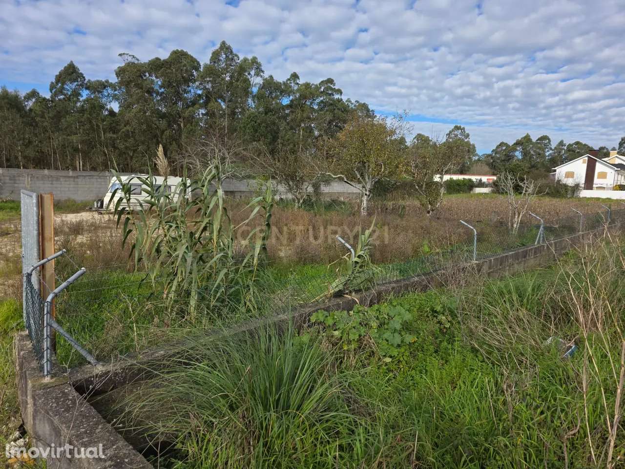 Terreno Rústico em Póvoa de Varzim com Frutíferas - Grande imagem: 4/7
