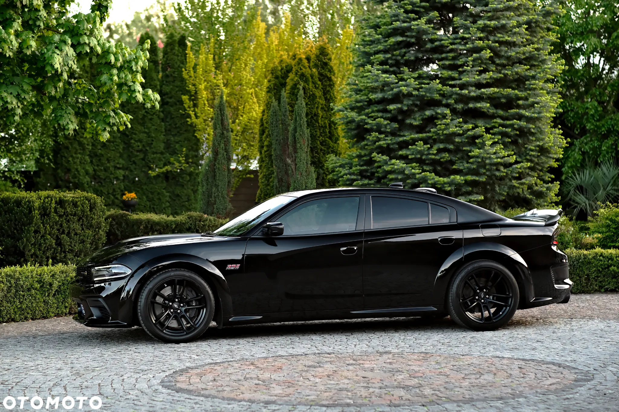 Dodge Charger 6.4 Scat Pack Widebody - 3