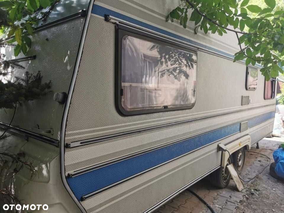 Wilk 590 - 1