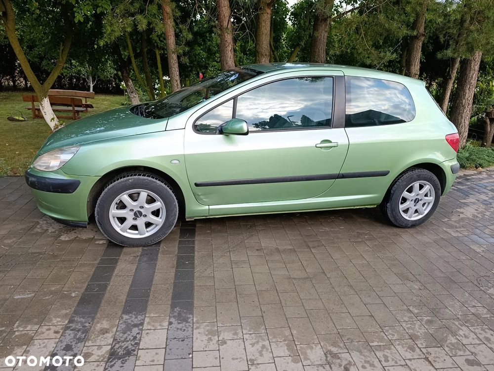 Peugeot 307 110 Grand Filou - 2