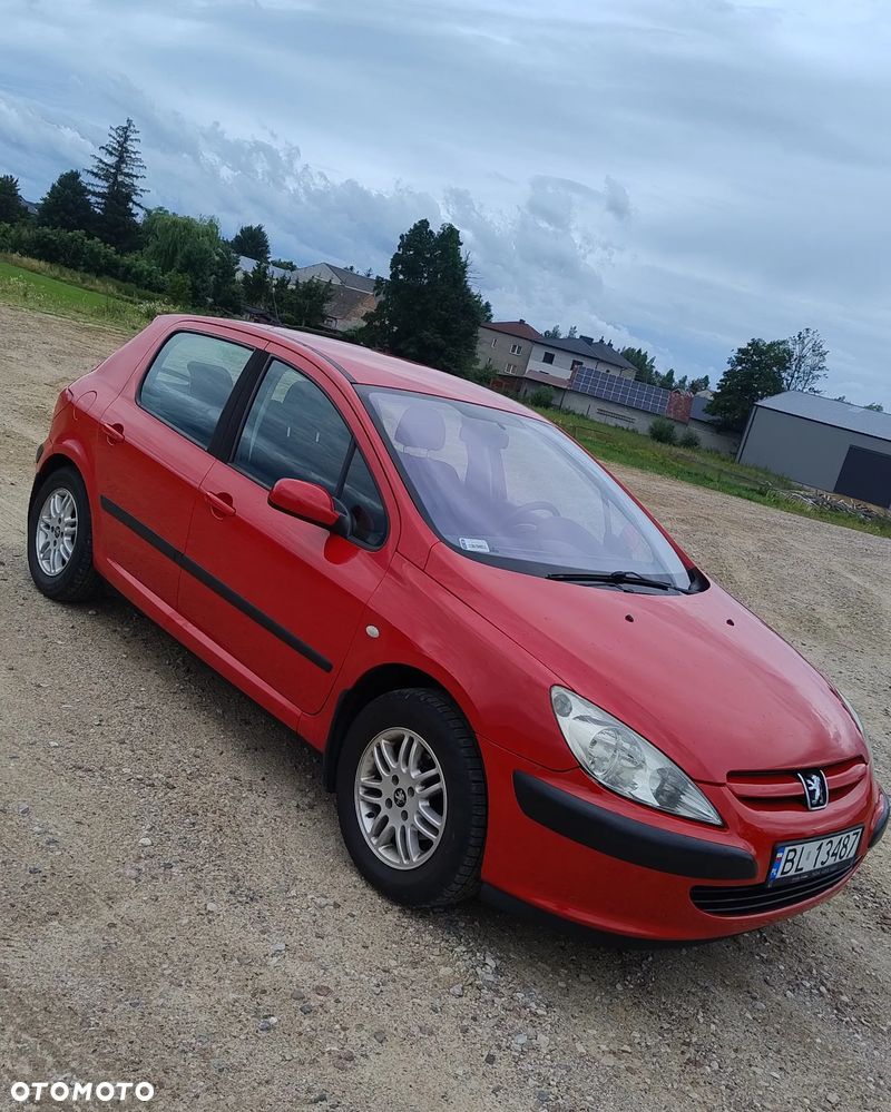 Peugeot 307 1.4 XR - 13