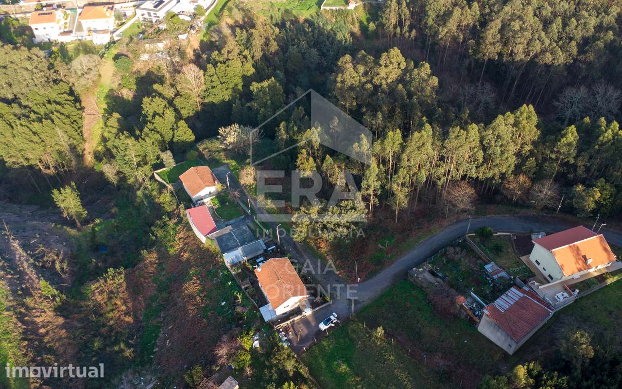 Terreno com 100 metros de frente - Grande imagem: 4/8