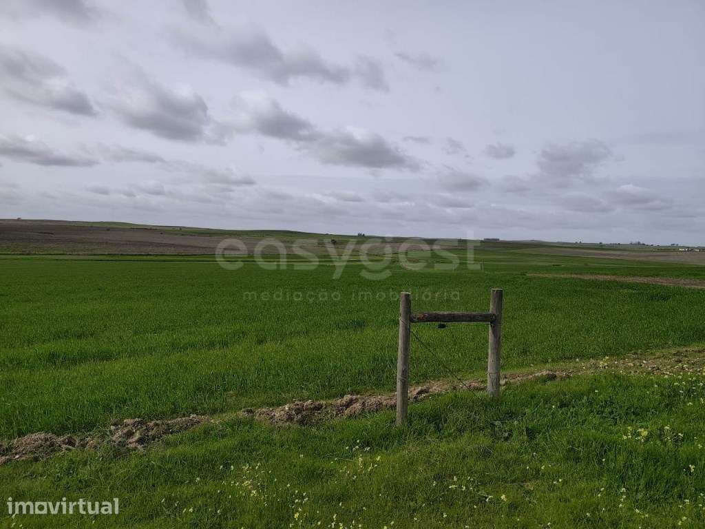 Terreno Rústico com área total de 93.875 m2, localizado na freguesi... - Grande imagem: 3/11