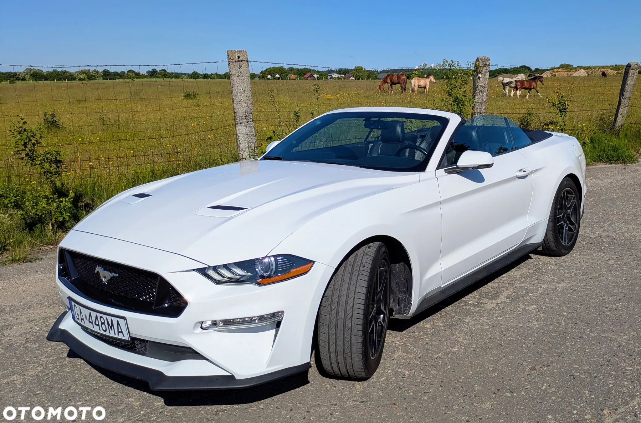 Ford Mustang 2.3 EcoBoost - 12