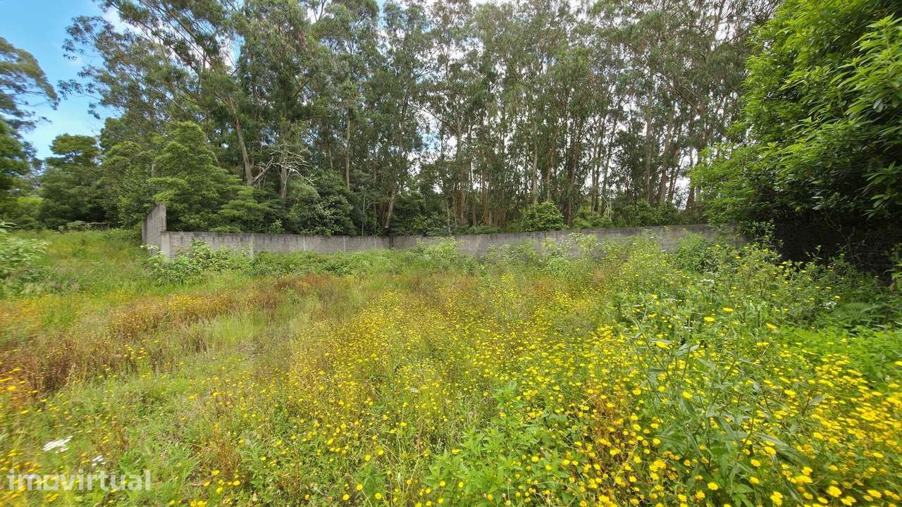 Terreno com 4500m2 no Rosário,  Lagoa - Grande imagem: 4/19