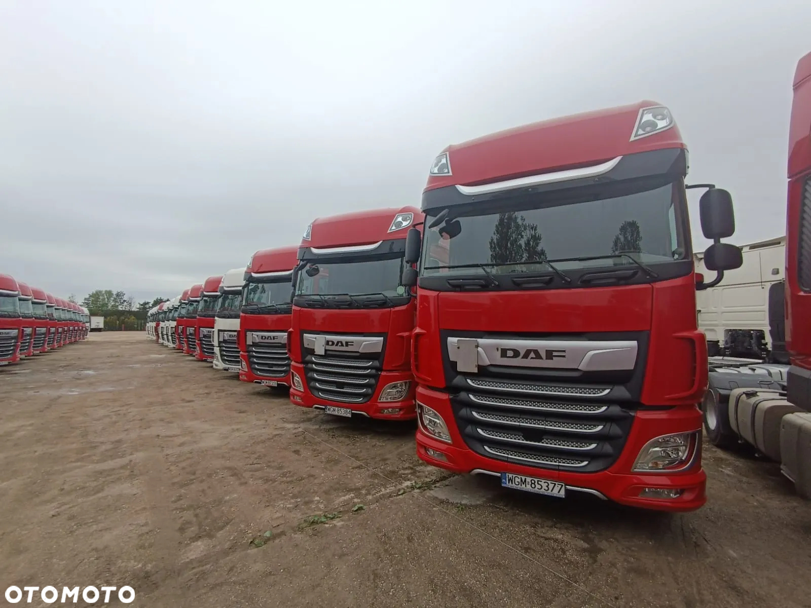 DAF XF 480 FT STANDARD - 4
