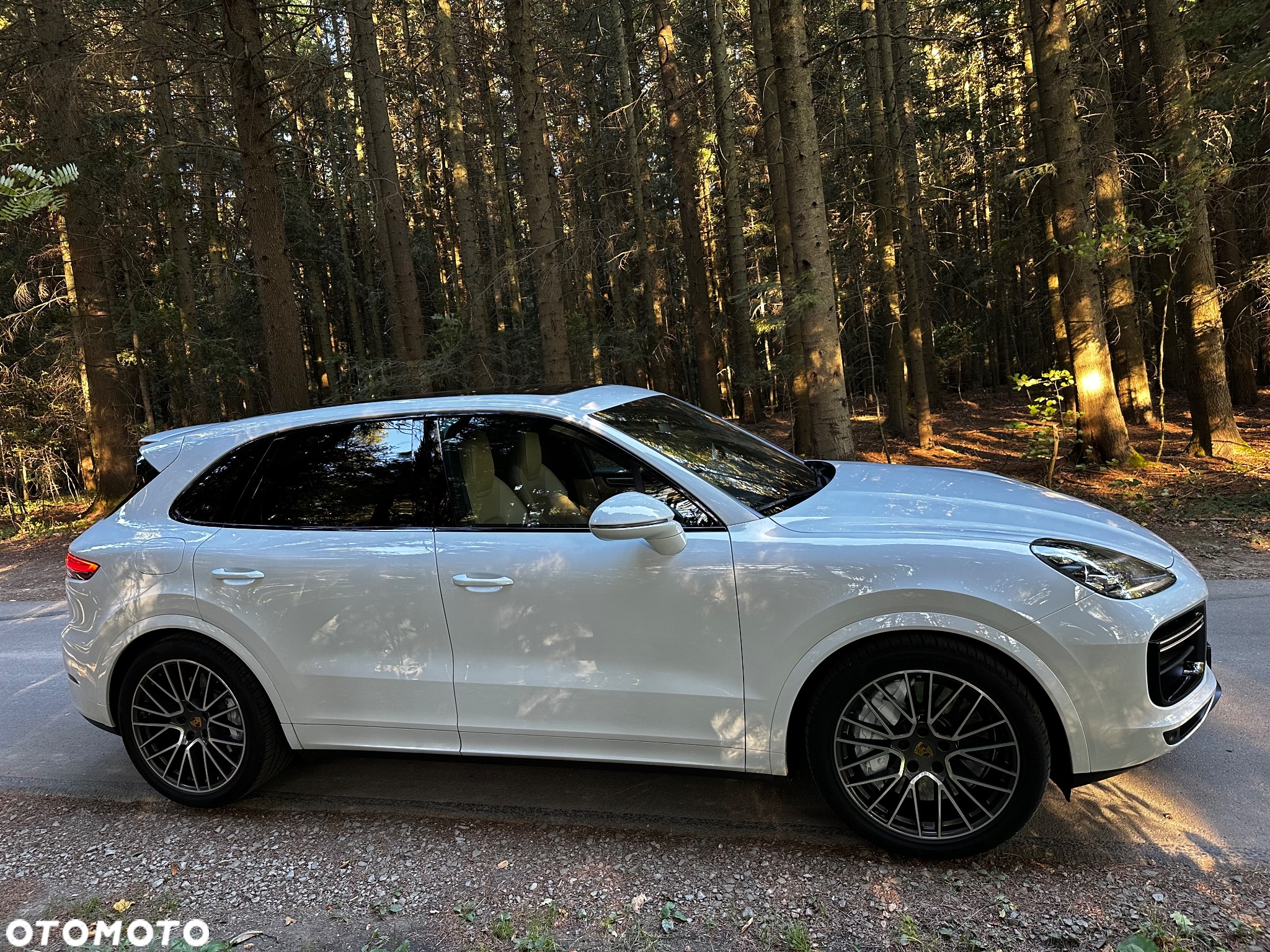 Porsche Cayenne Turbo - 4