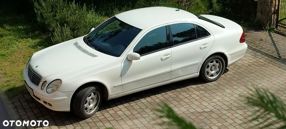 Mercedes-Benz Klasa E 220 CDI Classic - 2