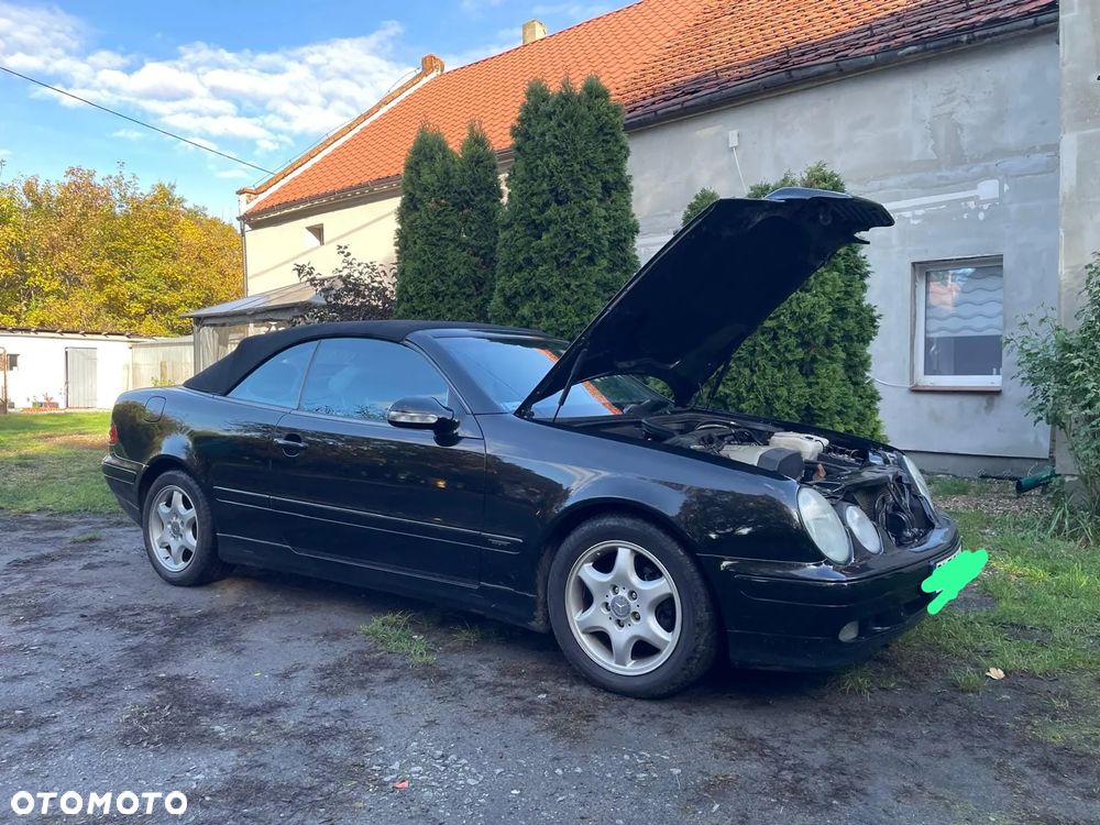 Mercedes-Benz CLK - 26