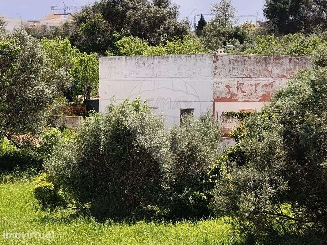 Quinta  para venda - Grande imagem: 3/23