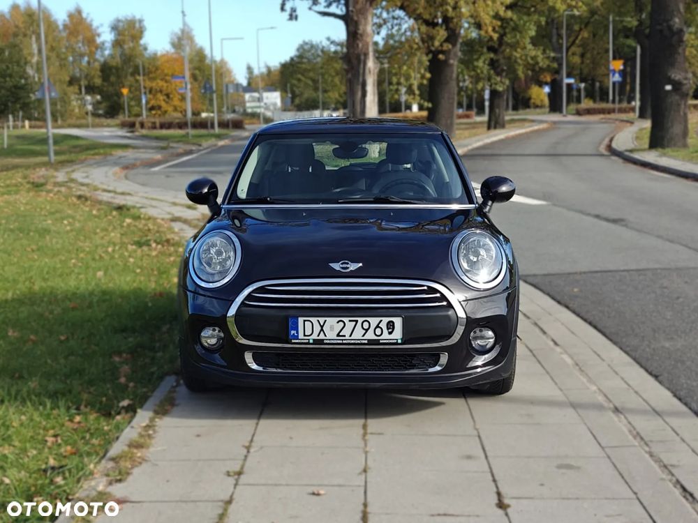 MINI ONE Blackyard - 20