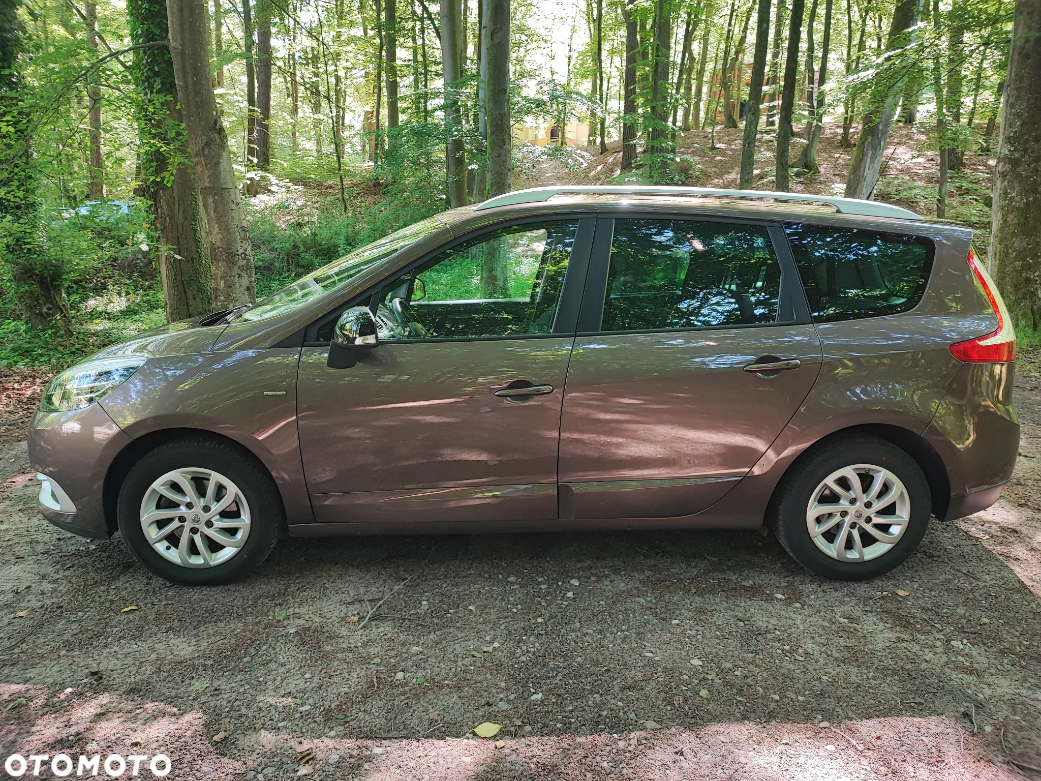 Renault Grand Scenic Gr 1.2 TCe Energy Limited EU6 - 4