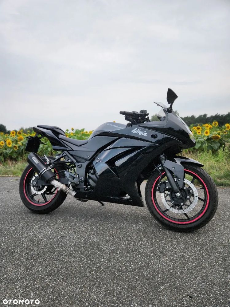 Kawasaki Ninja 250R - 4