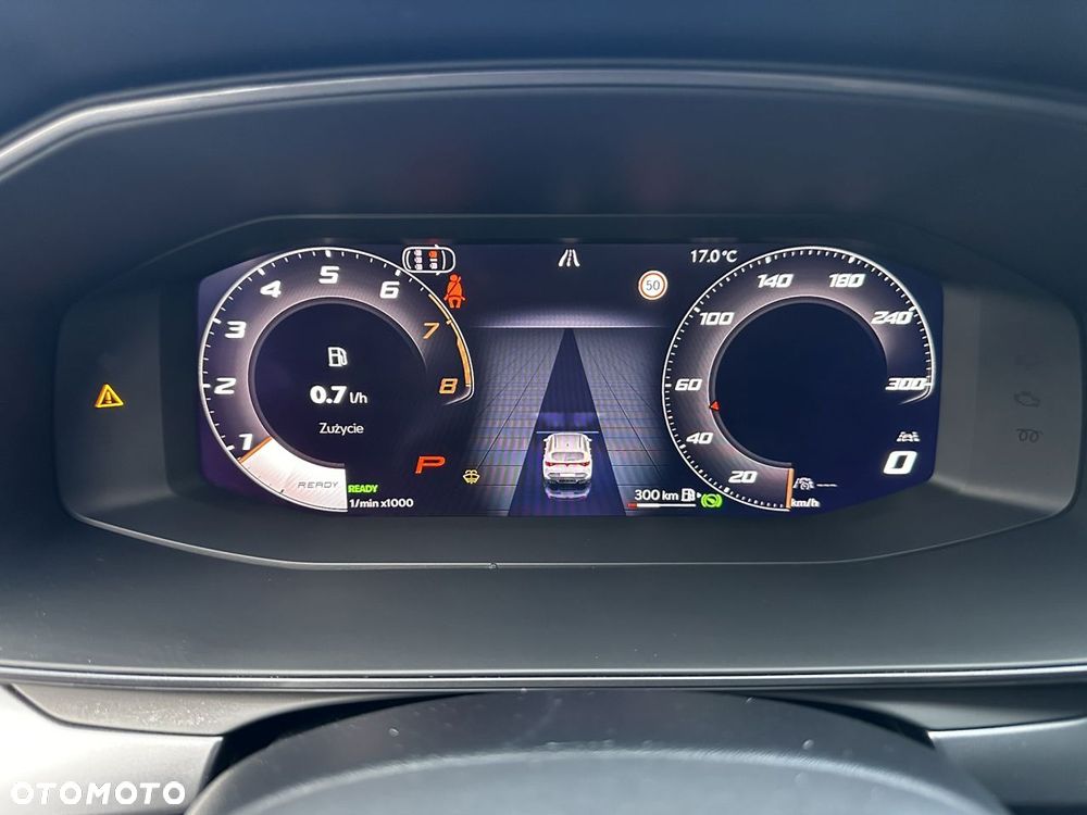 Cupra Formentor 1.5 eTSI DSG Tribe Edition - 21