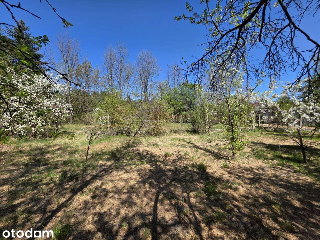Działka budowlana MPZP 1374m2, obok lasu,32m x 36m - Pełny obrazek: 4/15