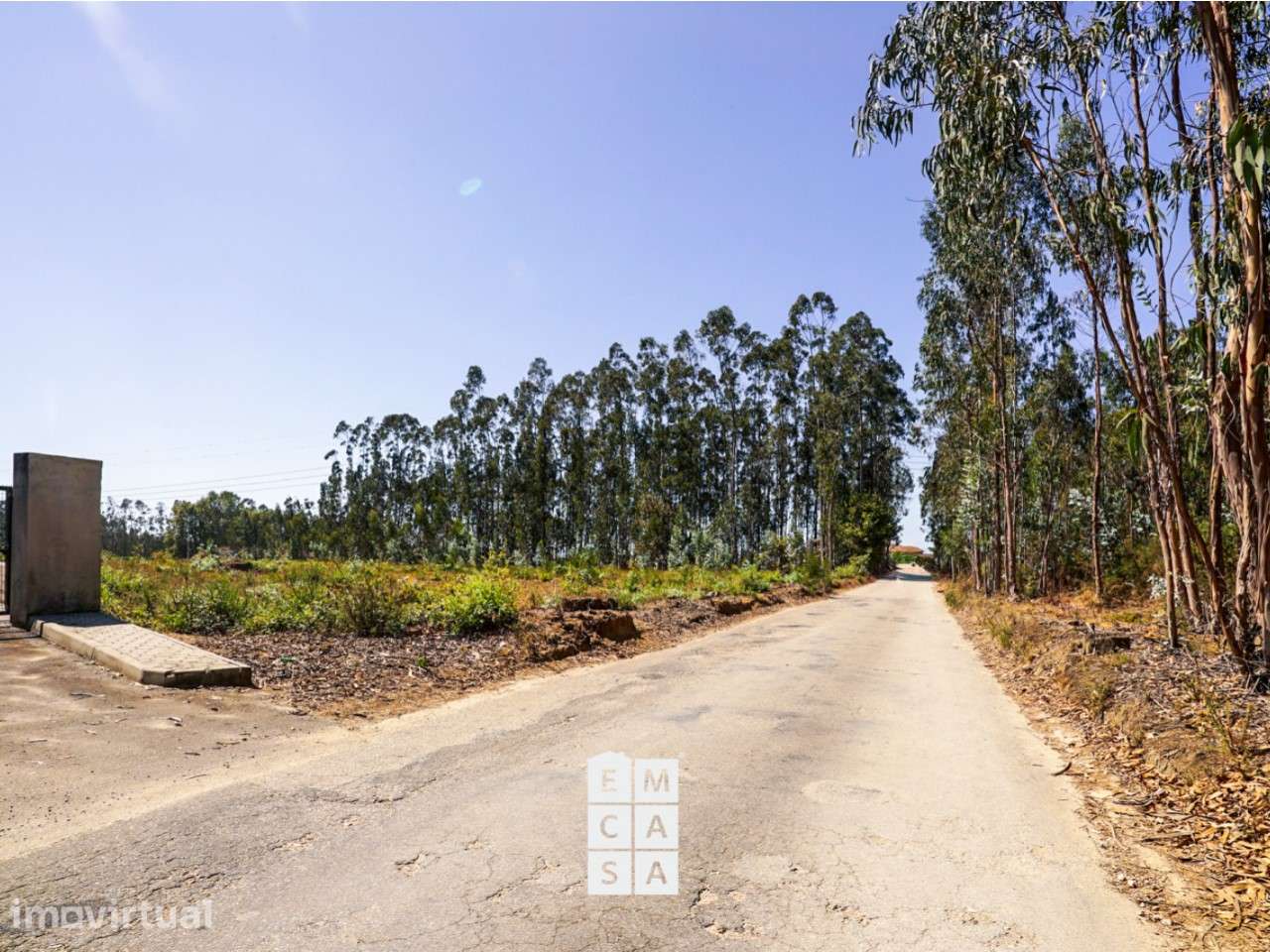Armazém  Venda em Oliveira de Azeméis, Santiago de Riba-Ul, Ul, Macinh - Grande imagem: 5/21