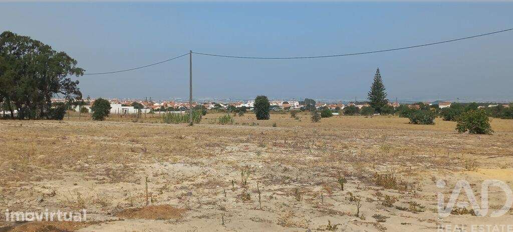 Terreno Agrícola em Montijo e Afonsoeiro - Grande imagem: 4/7