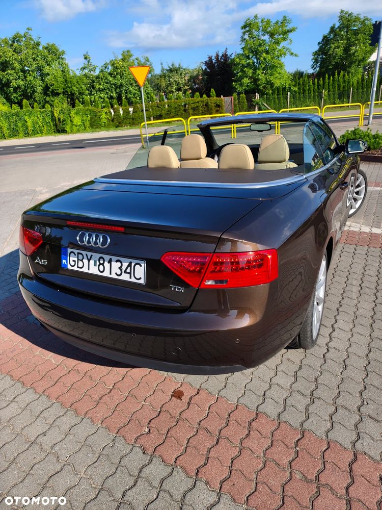 Audi A5 Cabrio - 1