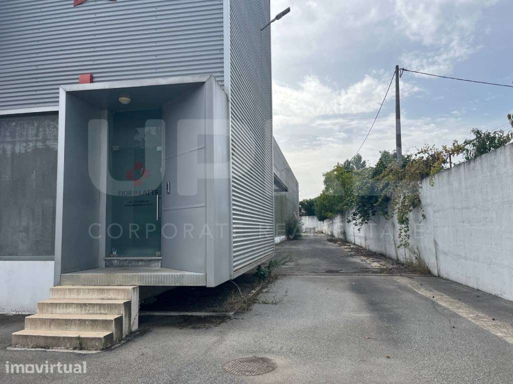 ARRENDA | Armazém Logístico de Frio | Maia - Grande imagem: 2/14