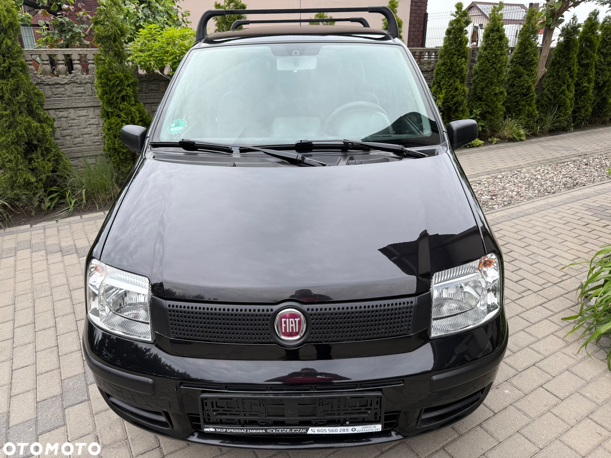 Fiat Panda 1.2 Classic Eco - 2