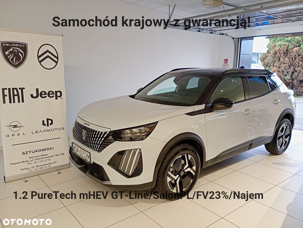 Peugeot 2008 - 1