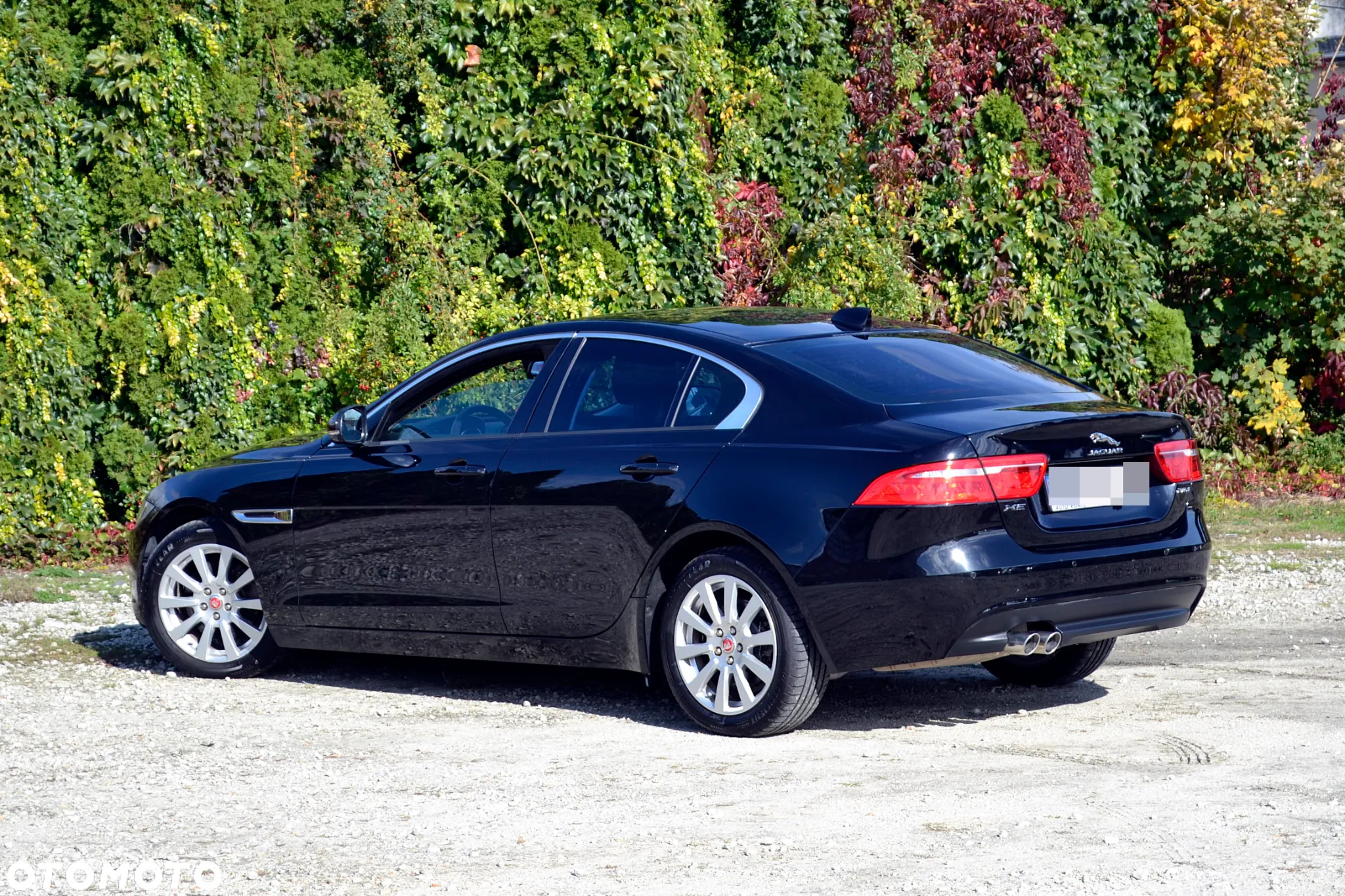 Jaguar XE - 8