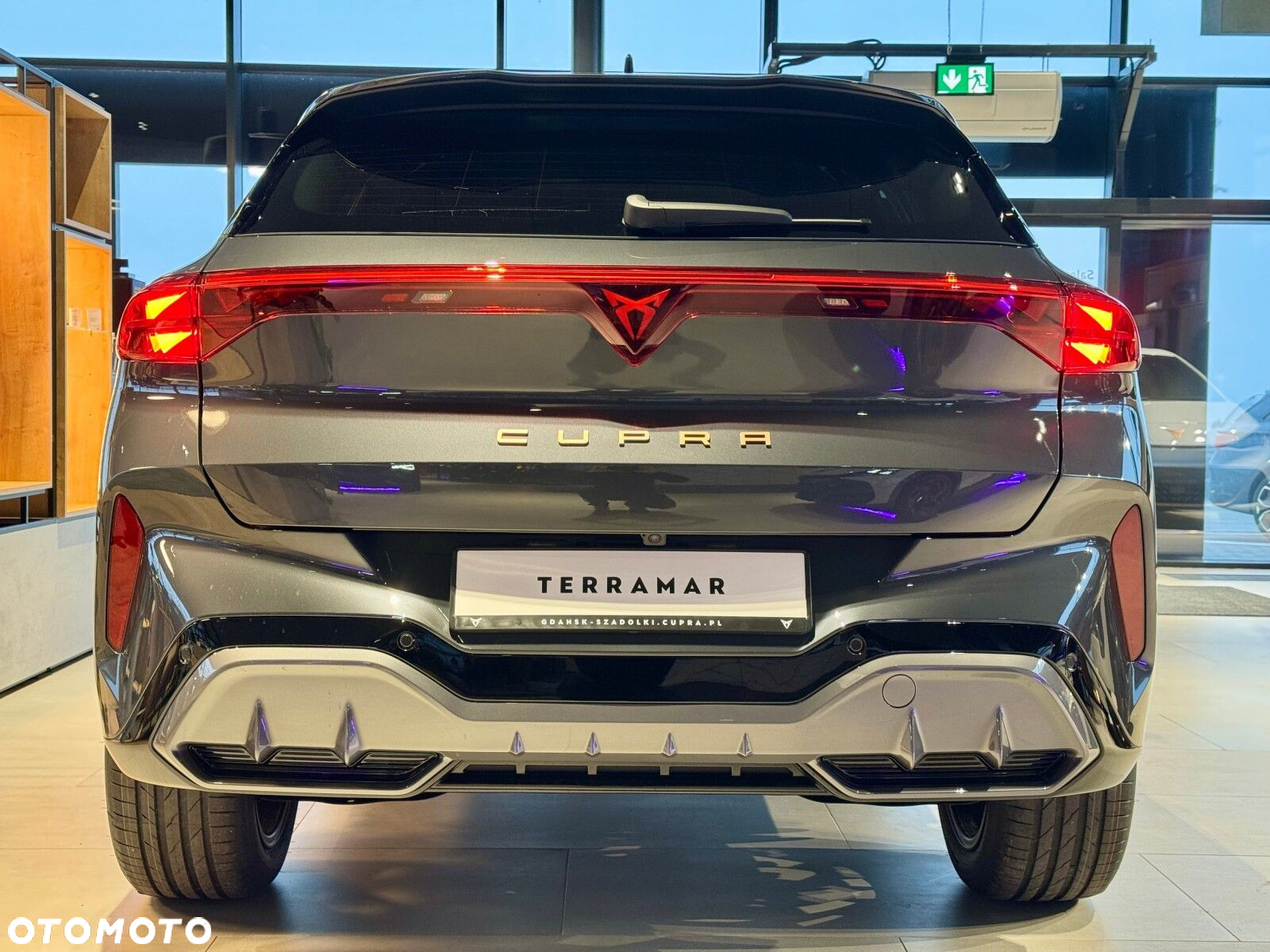 Cupra Terramar 1.5 eTSI mHEV DSG - 9