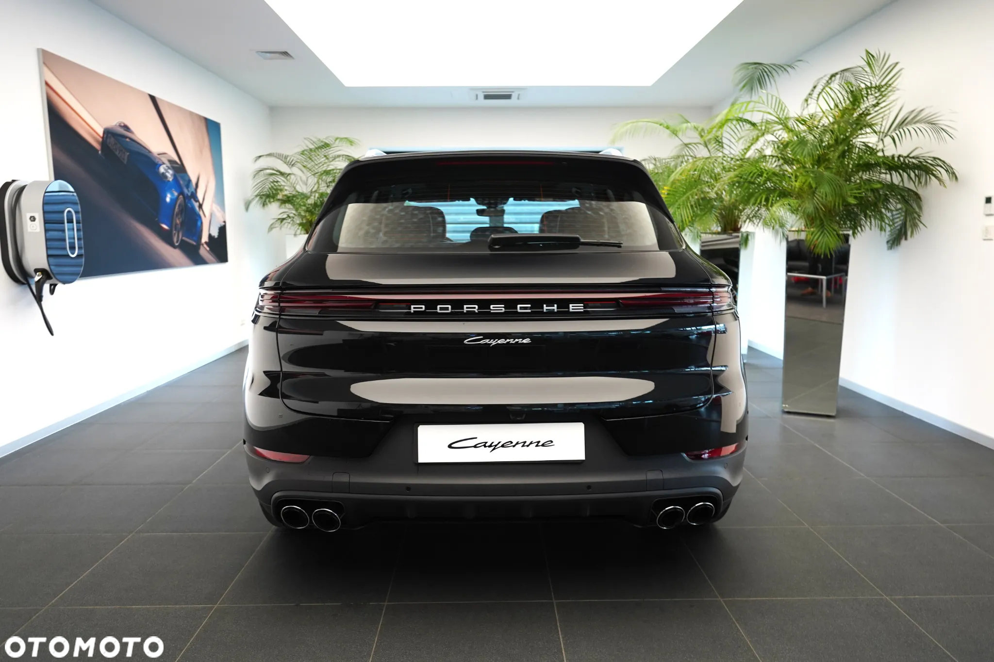 Porsche Cayenne Standard - 5