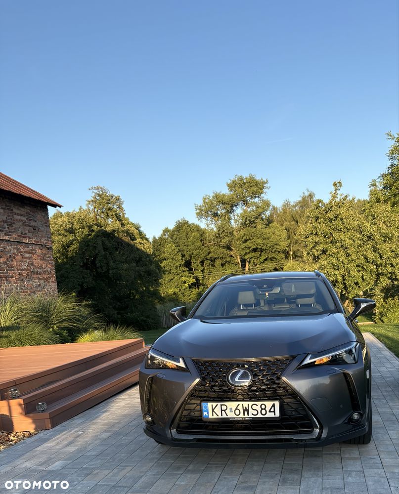 Lexus UX - 1