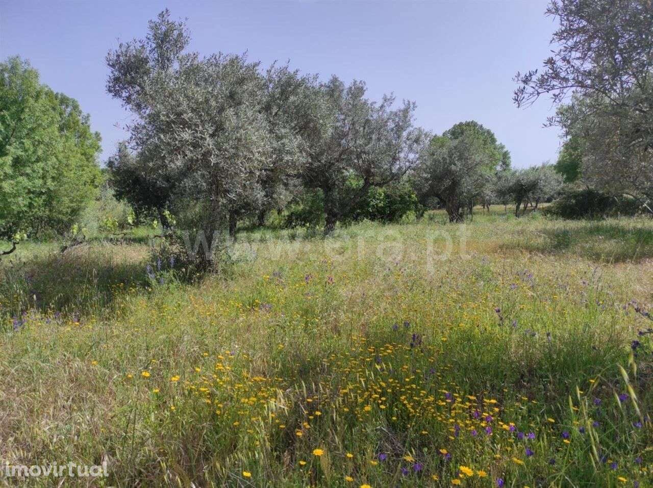 Quinta Estúdio / Fundão, Orca - Grande imagem: 4/12