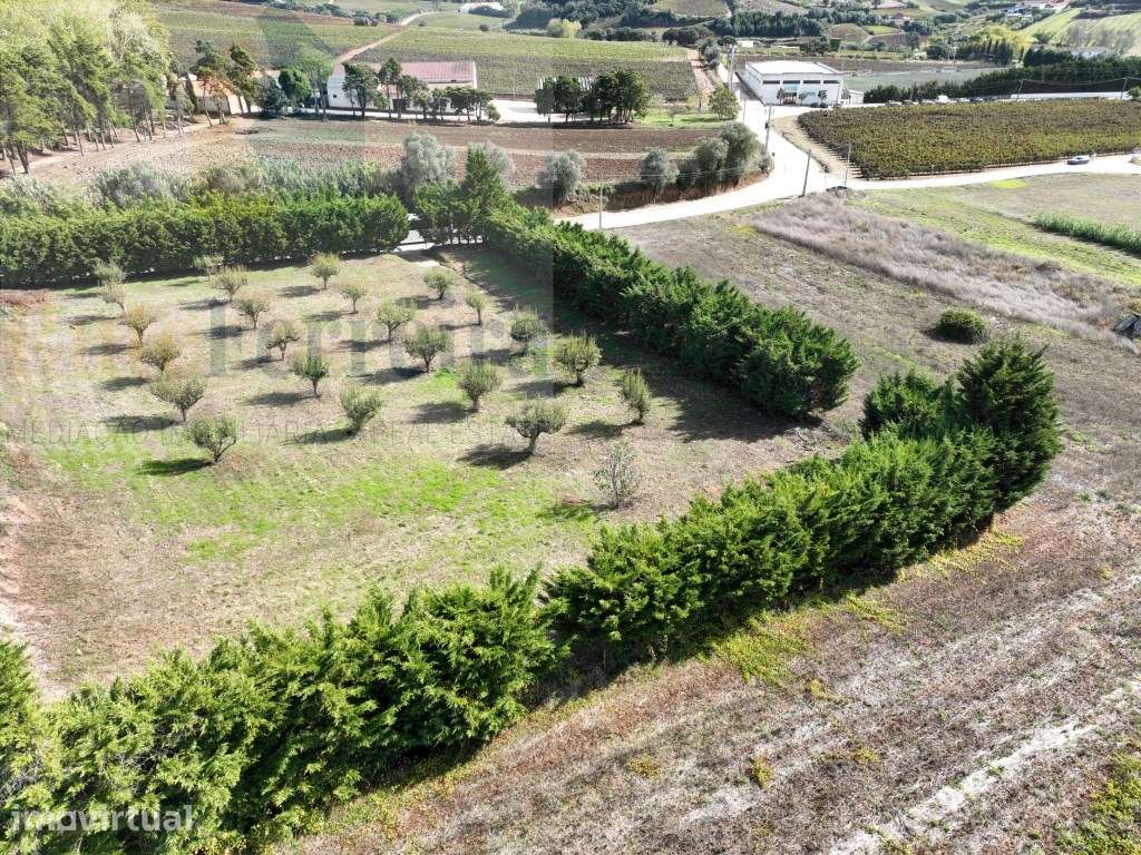 Terreno urbano no Turcifal Torres Vedras! - Grande imagem: 4/7